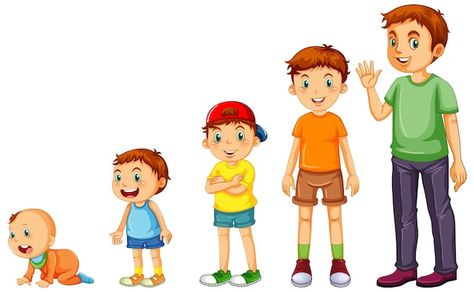 Human Clipart, Growth Art, Human Life Cycle, Human Growth And Development, Drawing Children, Hand Washing Poster, Child Growth, College Projects, Process Of Change