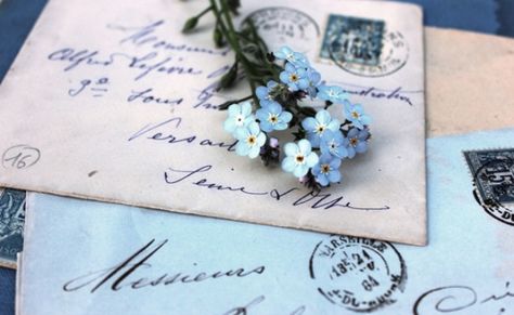 Forget Me Not! - The Garden Times Forget Me Not Aesthetic, Not Aesthetic, Forget Me Not Flowers, Flower Cottage, Alice Blue, Plants Are Friends, Color Vibe, Vintage Lettering, Pastel Wallpaper