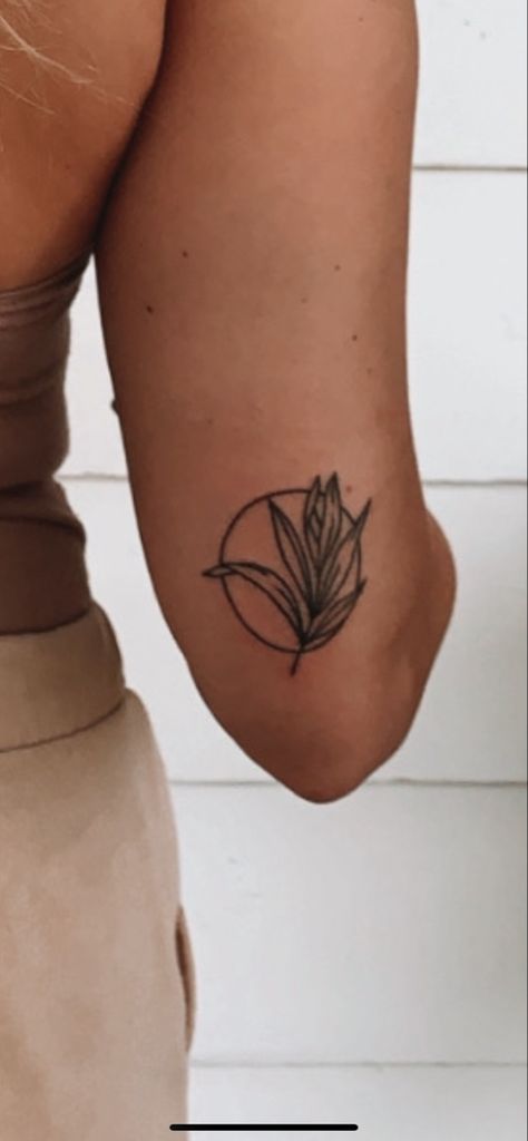 Flower In Circle Tattoo, Shine Your Light Tattoo, Tattoo Branch, Lupine Tattoo, Olive Tattoo, Round Tattoo, Circle Tattoo, Circle Tattoos, Light Tattoo