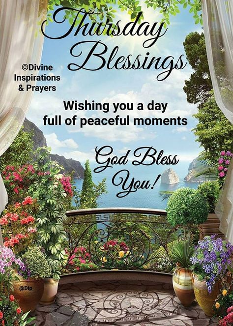 Thursday Morning Prayer, Funny Thursday Quotes, Happy Friday Humour, Good Morning Happy Thursday, Happy Thursday Quotes, Good Morning Thursday, Happy Wednesday Quotes, Thankful Thursday, Beautiful Morning Messages