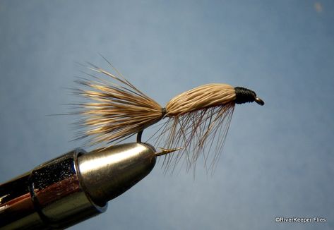 The Tied Down Caddis is my first Throw Back Thursday fly. Fly Fishing Boats, Caddis Fly, Throw Back Thursday, Caddis Flies, Indoor Bike Workouts, Recumbent Bike Workout, Fly Fishing Flies Pattern, Fly Fishing Tips, Fly Fishing Flies Trout