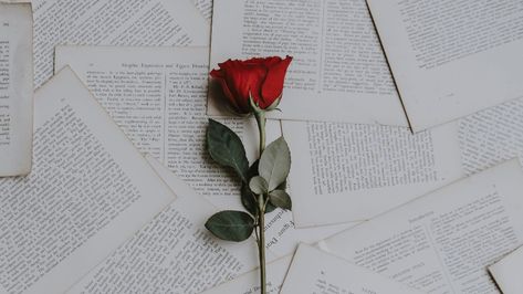 Aesthetic Book Wallpapers - Wallpaper Cave Aesthetic Rose Wallpaper, Book Wallpapers, Aesthetic Rose, Free Background Images, Romantic Relationship, Aesthetic Roses, Words Wallpaper, Soul Connection, Text Background