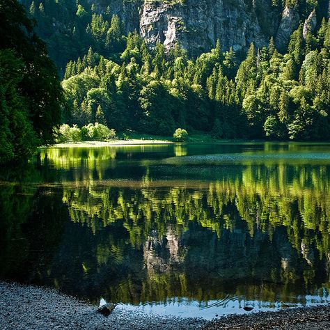 Hercynian Forest: where all unicorns live Bavarian Forest, Black Forest Germany, Happy Travels, To Infinity And Beyond, Germany Travel, Australia Travel, Black Forest, Oh The Places Youll Go, Bavaria