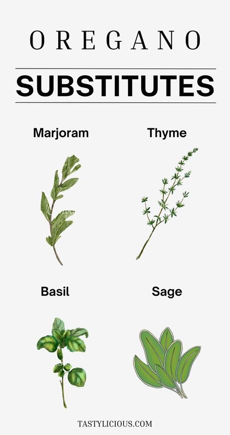 fresh oregano substitutes fresh oregano alternatives what to use instead of oregano where can i use oregano herb and spice substitution chart Spice Substitution Chart, Ingredient Substitutions, Fresh Oregano, What To Use, Kitchen Cupboard, Herbs And Spices, Cooking Skills, Pizza Pasta, Pasta Sauce