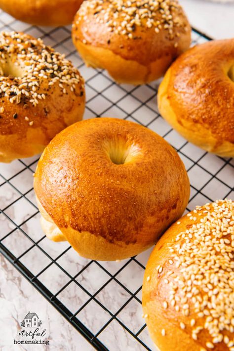 Homemade Bagel Recipe - Artful Homemaking Authentic Jewish Bagel Recipe, Homemade Everything Bagels, Bread Machine Bagel Recipe, Home Made Bagels Recipes, Ny Bagel Recipe, Diy Bagels Homemade Easy, Simple Bagel Recipe, Small Batch Bagels, Plain Bagel Recipe