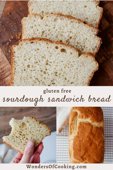 Gluten Free Sourdough Sandwich Bread - Sourdough Discard Gluten Free Sandwich Bread Recipe, Gluten Free Sandwich, Glutenfree Bread, Gluten Free Sourdough Bread, Homemade Gluten Free Bread, Gluten Free Sandwich Bread, Making Sandwiches, Best Gluten Free Bread, Gluten Free Sandwiches