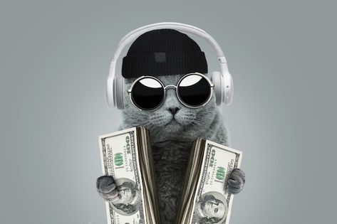 Rich Cat Aesthetic, Cat With Money, Money Lover, Freedom Images, Photo Money, Rich Cat, Cat Money, Money Funny, Happy Money