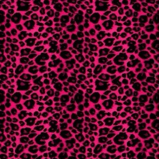 Decorate Front Porch, Front Porch Decor Ideas, Animal Print Background, Print Background, Front Porch Decor, Trashy Y2k, Porch Decor, Unique Ideas, Pink And Black