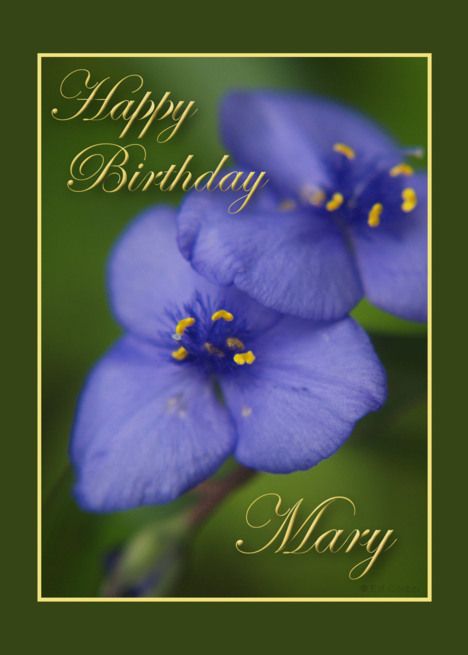 Happy Birthday Mary card Interactive Birthday Cards, Lisa Card, Happy Birthday Lisa, Happy Birthday Mary, Happy Birthday Elizabeth, Birthday Card Template, Free Ecards, Birthday Happy, Christmas Drinks