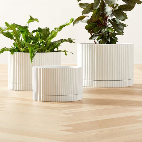 Fold Extra-Large White Cement Planter with Tray + Reviews | CB2 Plant Container Ideas, Houseplant Display, Indoor Planter Ideas, Fun Lamps, Modern Outdoor Planters, Outside Planters, Modern Planters Outdoor, Extra Large Planters, Green Ottoman