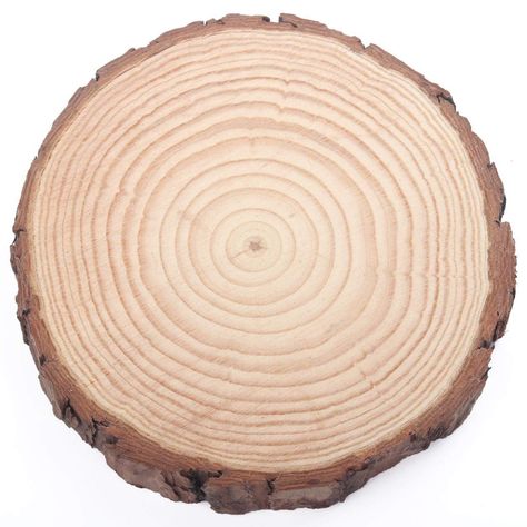 Amazon.com: Fuhaieec Wood Slices Natural Unfinshed Round Pine Wood Slabs, 7'' to 8'', 4 Pack, Large Rustic Wood Pieces with Tree Bark for Wedding Centerpiece DIY Craft Christmas Rustic Wedding Ornaments Round Wood Craft Ideas, Tree Bark Crafts, Wood Slice Centerpieces, Large Wood Slices, Centerpiece Diy, Wedding Ornaments, Wood Bark, Christmas Rustic, Wood Slice Crafts