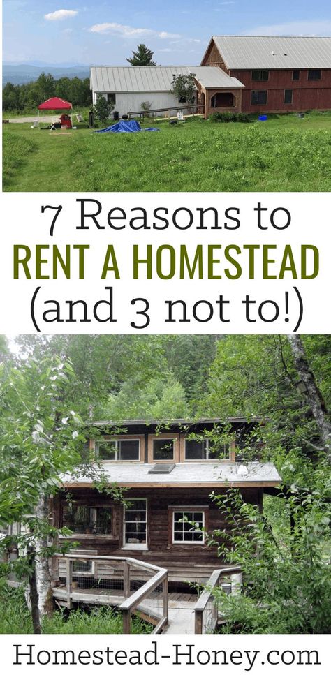 You dream of homesteading, but don't yet have a property. Here are 7 reasons to rent a homestead before you buy, and 3 reasons to buy a homestead now. #homesteading #homestead Homestead Land, Homestead Property, Homesteading Diy, Farm Plans, Urban Farmer, Tiny House Community, Urban Homesteading, Backyard Farming, Farms Living