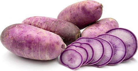 Purple Radish Recipe, Purple Radish, Radish Recipe, Vine Bottle, Misfits Market, Choy Sum, Ghost Plant, Radish Recipes, Pigeon Peas