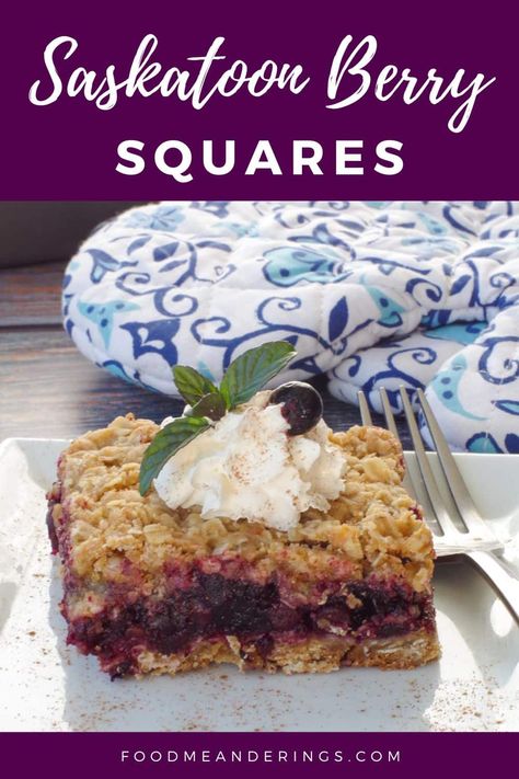 These Saskatoon Berry squares have a juicy Saskatoon berry filling nestled between delicious buttery oat layers. They are easy to make and you can make these with either fresh or frozen Saskatoon berries and pantry staples! Saskatoon Dessert Recipes, Saskatoon Tarts Recipe, Saskatoon Desserts, Saskatoon Berry Tarts, Saskatoon Berry Crisp, Saskatoon Berry Recipes, Saskatoon Pie, Saskatoon Recipes, Saskatoon Berry Recipe