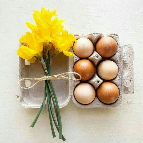 Carton Design, Duck Eggs, Egg Cartons, Color Collage, Farm Fresh Eggs, Local Farm, Amazing Photo, Egg Carton, Fresh Eggs