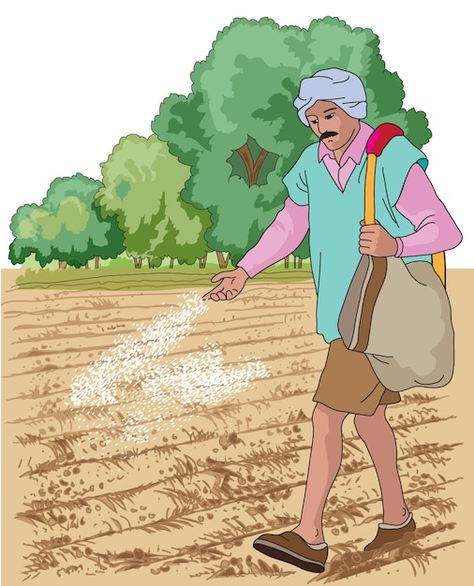 Farmer Working In Field Drawing, Farmers Pictures, Agriculture Drawing Easy, Farmer Drawing Easy, Agriculture Painting, Farmer Pictures, Farming Drawing, Farmer Image, Agriculture Drawing