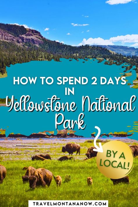 Discover the best way to spend 48 hours in Yellowstone National Park! Explore iconic landmarks like Old Faithful, the Grand Prismatic Spring, and the Grand Canyon of Yellowstone. Spot wildlife in Lamar Valley and enjoy scenic drives through the park's diverse landscapes. Whether you’re hiking, photographing geysers, or soaking up the beauty of Yellowstone Lake, this guide will help you create a memorable 2-day itinerary filled with adventure and awe-inspiring sights. 2 Days In Yellowstone National Park, One Day In Yellowstone National Park, 3 Day Yellowstone Itinerary, Yellowstone Must See, Yellowstone National Park Itinerary, Yellowstone Hikes, Yellowstone Vacation Planning, Wyoming Trip, Glacier National Park Vacation