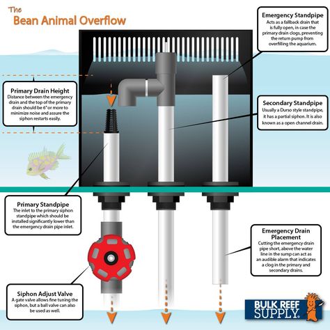 Decide which of the three most common types of drains and overflow boxes is right for you and your tank. Diy Reef, Aquarium Sump, Desktop Aquarium, Fish Tank Themes, Saltwater Aquarium Fish, Diy Fish Tank, Diy Aquarium, Aquarium Setup, Aquarium Landscape