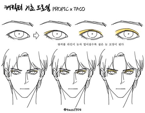 얼굴 드로잉, Eye Drawing Tutorials, Body Drawing Tutorial, Face Drawing Reference, Manga Drawing Tutorials, Human Anatomy Art, Anatomy Sketches, Body Reference Drawing, Anime Eye Drawing