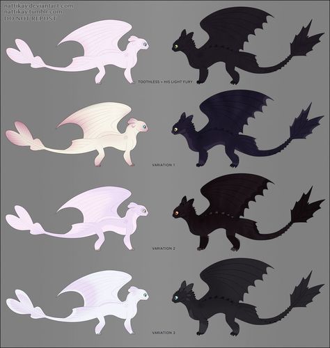 Huh? Fury Family, Dragon Anatomy, Night Fury Dragon, Cute Dragon Drawing, Httyd Art, Light Fury, Dragon Sketch, Httyd Dragons, Cool Dragons