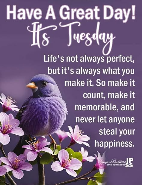 Terrific Tuesday Quotes, Tuesday Blessings Inspiration, Inspire Positive Soul Sensations, Prayers To Start Your Day, Tuesday Quotes Good Morning, Tuesday Greetings, Uplifting Sayings, Tuesday Blessings, Sunday Morning Quotes