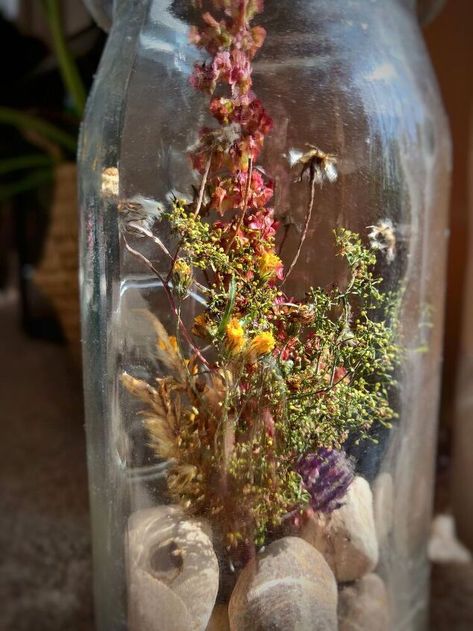 Memories In A Jar, Remove Jar Labels, Diy Dried Flowers, Memory Jar, Flowers In Jars, Plant Ideas, Terrarium Diy, Glass Terrarium, Jar Labels