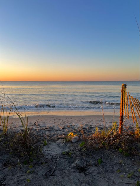 Mallory Aesthetic, Carolina Core, Charleston Living, East Coast Summer, Pretty Scenery, College Of Charleston, Coastal Carolina, Obx Dr, The Carolinas