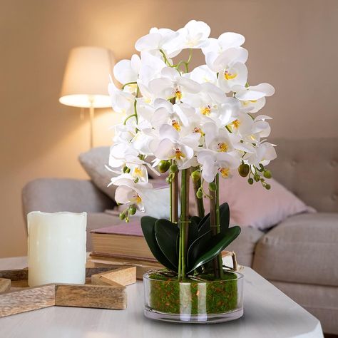 #pinterest #instagram #aesthetic #love #art #photography #instagood #tumblr #pinterestinspired #fashion #o #like #explorepage #k #picoftheday #explore #s #follow #tiktok #india #facebook #i #inspiration #handmade #style #design #photooftheday #naturephotography #twitter #artist Phalaenopsis Bouquet, Orchids White, Flower In Vase, Home Wedding Party, Silk Bouquet, Artificial Orchids, Mothers Day Flowers, Butterfly Flower, White Orchids