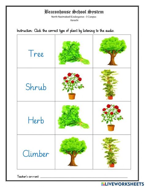 Trees Name In English, Types Of Plants For Kids, Parts Of Plants Chart, Plants Need Worksheet, Types Of Plants Worksheet, Types Of Plants For Kids Chart, Kg Worksheets, Importance Of Plants Worksheet, Growth And Changes In Plants Grade 3