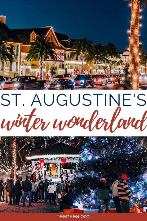 Florida In December, Florida Winter, Florida Holiday, Florida Adventures, Florida Christmas, Best Christmas Lights, Florida Destinations, Sea Travel, St Petersburg Florida