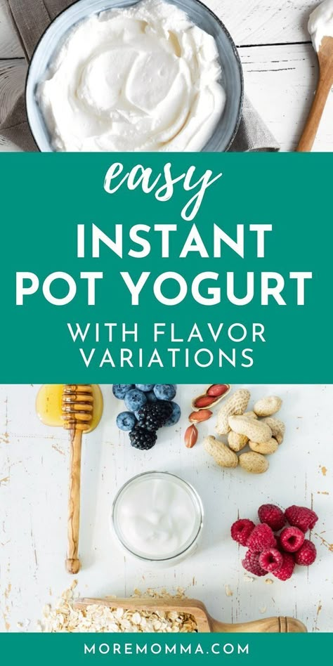 Instant Pot Yogurt Recipe, Homemade Yogurt Recipes, Instant Pot Yogurt, Homemade Greek Yogurt, Instant Pot Cookbook, Yogurt Recipe, Honey Yogurt, Greek Yogurt Recipes, Lemon Yogurt