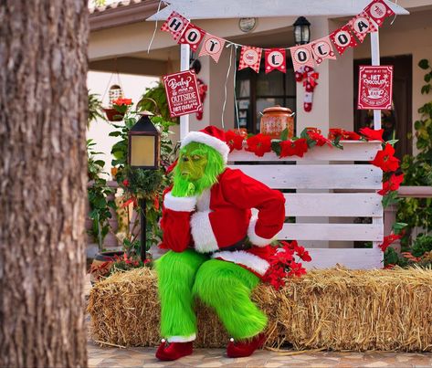 Grinch Photo Shoot Ideas, Funny Grinch Photoshoot, Grinch Photo Session, Grinch Photo Shoot, Grinch Props, Grinch Photoshoot Ideas, Grinch Photos, Grinch Photoshoot, 2023 Decor