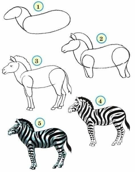 How to Draw Zoo Animals Easily | www.FabArtDIY.com Wild Animals Drawing, Zebra Drawing, Zebra Art, Drawing For Beginners, Animal Sketches, Art Drawings For Kids, Drawing Lessons, Step By Step Drawing, Zoo Animals