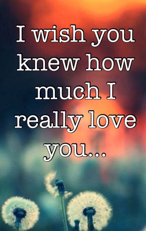 I wish you knew how much I really love you Weekly Themes, November Quotes, She Quotes, I Really Love You, I Love You Quotes, Love Me Quotes, Boyfriend Quotes, Trendy Quotes, Really Love You