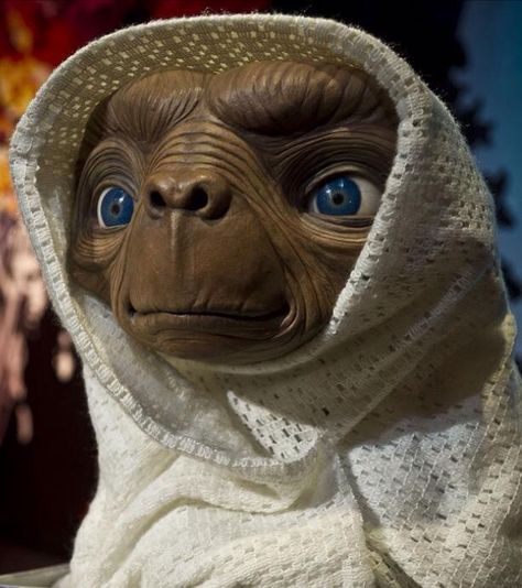 Phone Home Old Cartoon Movies, E.t Movie, Et The Extra Terrestrial, Madame Tussauds, Movie Posters Design, Rainbow Aesthetic, Gremlins, Super Smash Bros, Great Movies