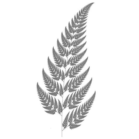 Silver Fern Drawing, Silver Fern Tattoo, Kiwi Tattoo, Fern Drawing, Leaf Pictures, Family First Tattoo, Tattoo Pierna, Chris Garver, New Zealand Tattoo