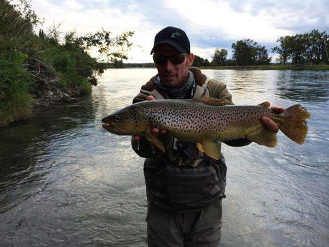 Podcast: The Seven Deadly Sins of Streamer Fishing, with Josh Nugent - Orvis News Steelhead Fishing, Orvis Fly Fishing, Fishing For Beginners, Bass Fishing Tips, Fly Fishing Gear, Walleye Fishing, Brown Trout, Fishing Guide, Fly Shop