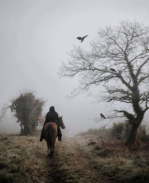 Breath Of Life, Medieval Aesthetic, Yennefer Of Vengerberg, Fantasy Story, Fantasy Aesthetic, Fantasy Inspiration, Story Inspiration, Book Inspiration, The Witcher