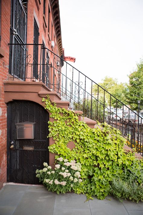 Garden Designer Visit: A Low Maintenance Brooklyn Backyard by New Eco Landscapes - Gardenista Brownstone Front Garden, Brooklyn Backyard, Low Maintenance Landscaping Front Yard, Brownstone Homes, Brooklyn Brownstone, Front Garden Design, Bed Stuy, Garden Designer, Low Maintenance Landscaping