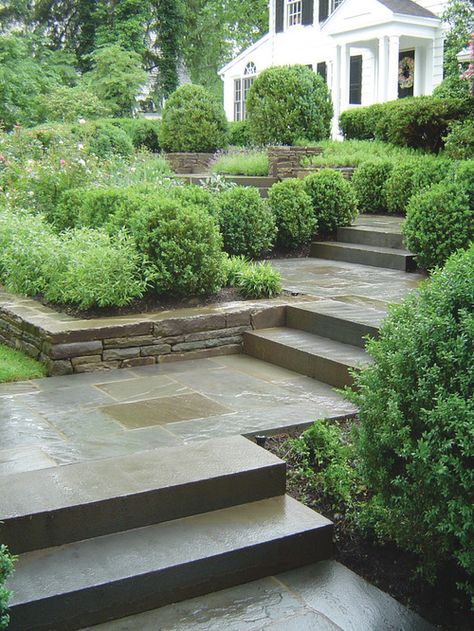 Landscape Shrubs, Front Yard Walkway, Landscaping On A Hill, Walkway Landscaping, Walkway Design, Front Walkway, Sloped Garden, Easy Landscaping, Traditional Landscape