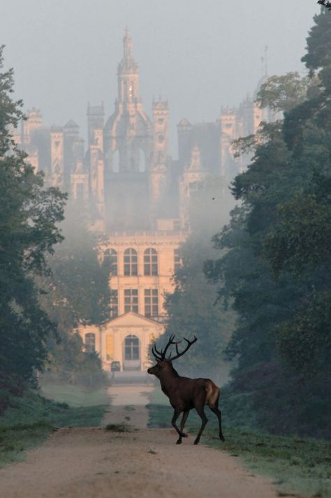 Chateau du Chambord aka Bell's Castle #castles Chateau France, Loire Valley, Beautiful Castles, Pretty Places, France Travel, Albania, Beautiful World, Travel Dreams, Wonders Of The World