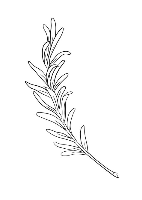 Rosemary Illustration, Instagram Campaign, Instagram Campaigns, Leaf Illustration, Rosemary Leaves, Rosemary, Tattoo Ideas, Tattoos, Instagram