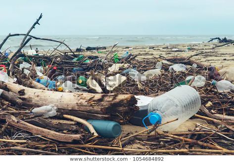 Spilled Garbage On Beach Big City Stock Photo (Edit Now) 1054684892 Loss Of Biodiversity, All About Water, Marine Pollution, Sea Plants, National Geographic Kids, Environmental Pollution, Water Pollution, Marine Environment, Black Sea