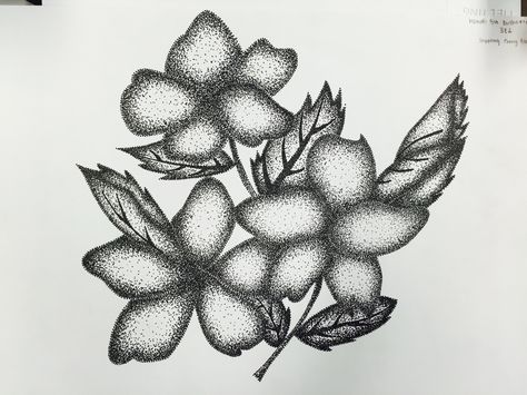 Flowers  - Pen Rendering / Stippling technique Flower Stippling Art, Pen Rendering, Stippling Technique, Stippling Art, Pen Art Drawings, Dot Work Tattoo, Art Pens, Drawings Simple, Stippling