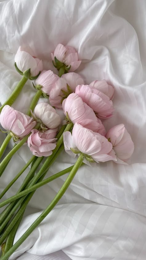 Frühling Wallpaper, Pink Flowers Wallpaper, Boquette Flowers, Nothing But Flowers, Flower Therapy, Pink Wallpaper Iphone, Pink Wallpaper, Love Flowers, Flower Wallpaper