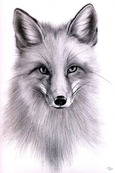 Art by maniaadun on deviantart Book Pencil Drawing, Fox Pencil Drawing, Fox Drawing Sketches, Fox In Winter, Fox Sketch, How To Draw Realistic, Hb Pencil, Eagle Painting, Grey Scale