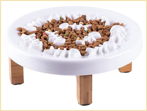 Cat Bowl Slow Feeder Water Food Elevated Bowl Cat Feeding Station Food Puzzle, Cat Feeding Station, Slow Eating, Fish Bones, Healthy Eating Diets, Water Food, Dog Food Bowls, Cat Food Bowl, Cat Feeder