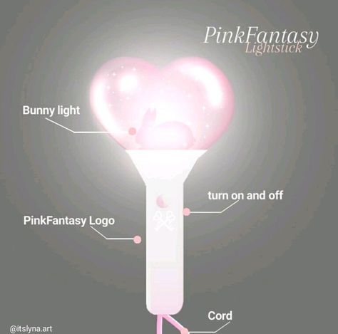 Bunny Lightstick, Fan Made Lightstick, Idol Accessories, Script Dr, Kpop Shifting, Kpop Ideas, Scripting Ideas, Joo Won, Concept Album