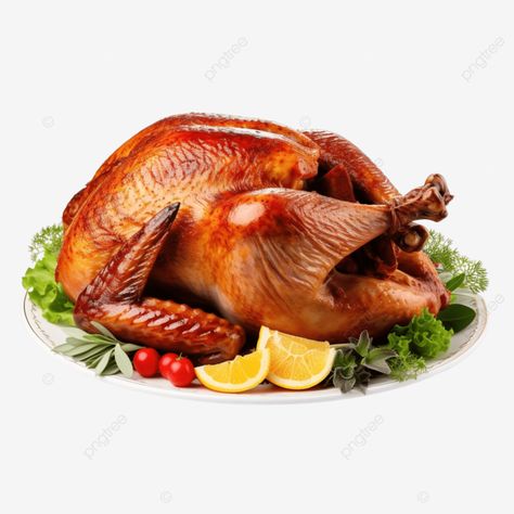 thanksgiving turkey isolated on white copy space turkey food turkey meat png Thanksgiving Chicken, Turkey Spaghetti, Thanksgiving Mains, Turkey Food, Roast Chicken Dinner, Chicken Png, Dinner Christmas, Chicken Menu, Christmas Turkey