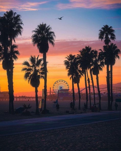 Pier Santa Monica, La Life, Bookstagram Inspiration, Beach Santa, Santa Monica Beach, Santa Monica Pier, Santa Monica California, Pretty Landscapes, Sun Art